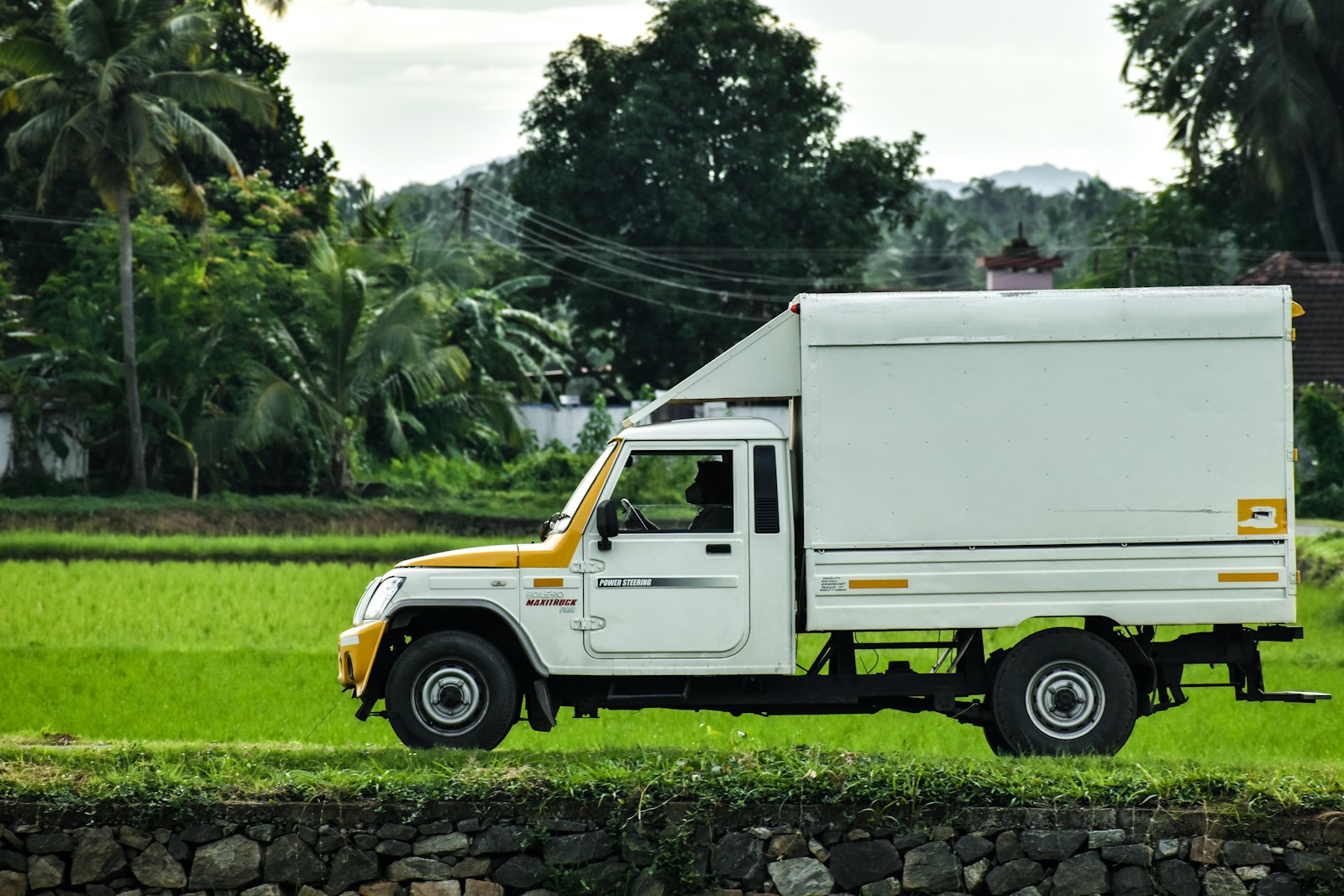 white truck on green grass field during daytime, commercial auto